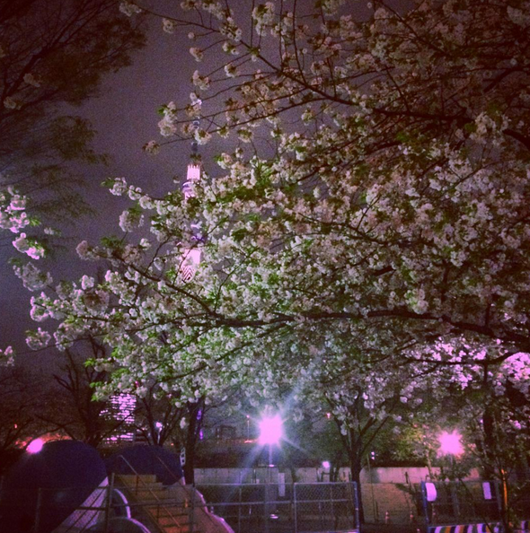 Instagram