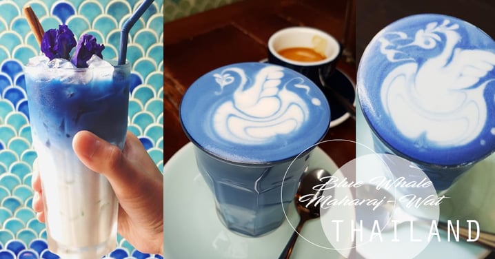 泰國好多好嘢食！曼谷海藍色天鵝拉花咖啡！絕對是超乎想像的夢幻藝術品耶！