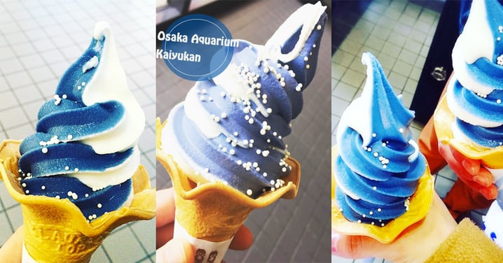 嘩鯊魚出沒注意！大阪海遊館出現鯨鯊軟雪糕，夢幻深藍勁吸睛～～