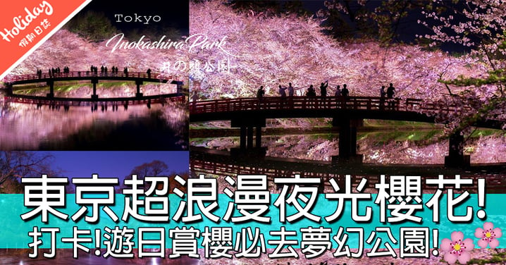 日本網民瘋傳！情侶打卡必到超浪漫賞櫻公園！激似新海誠秒速5厘米場景！