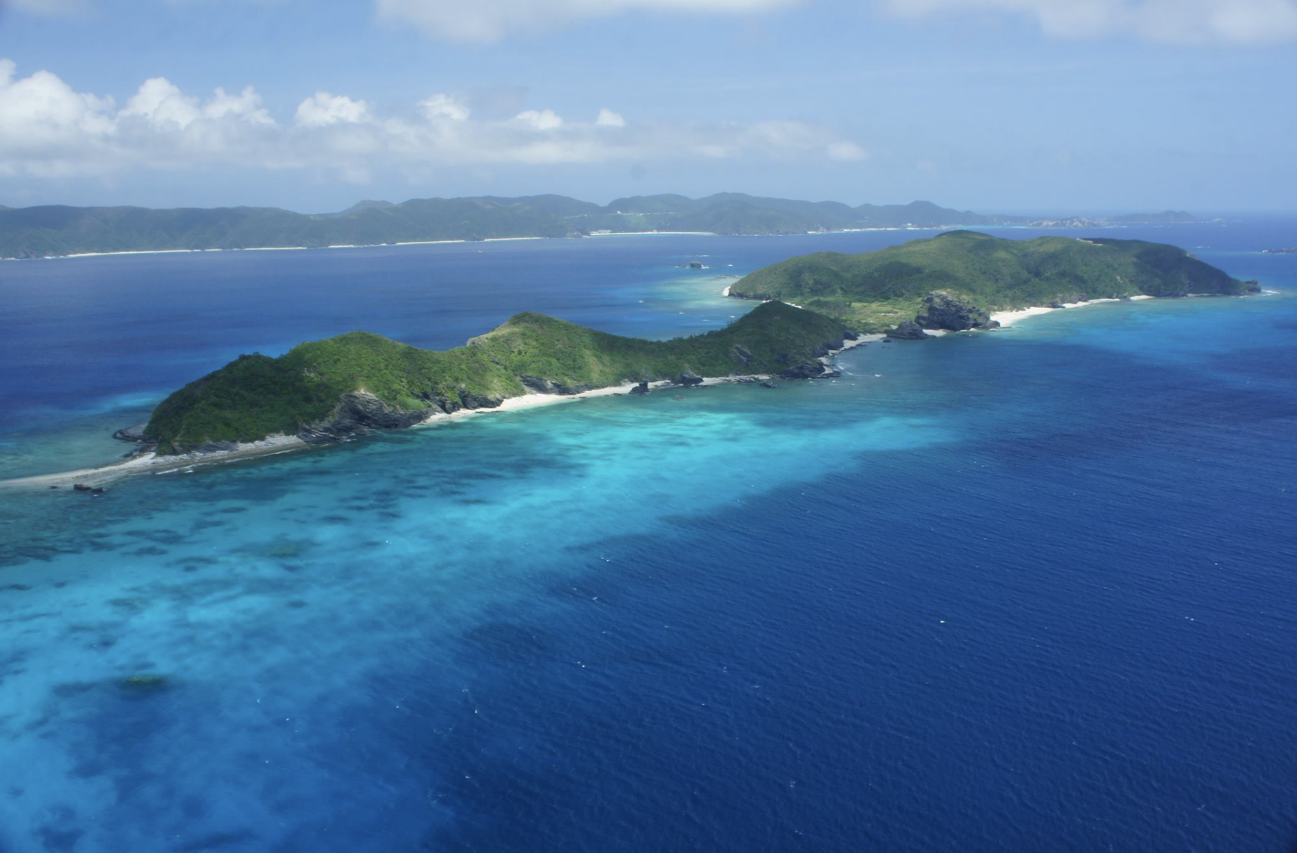 パラグライダー沖縄