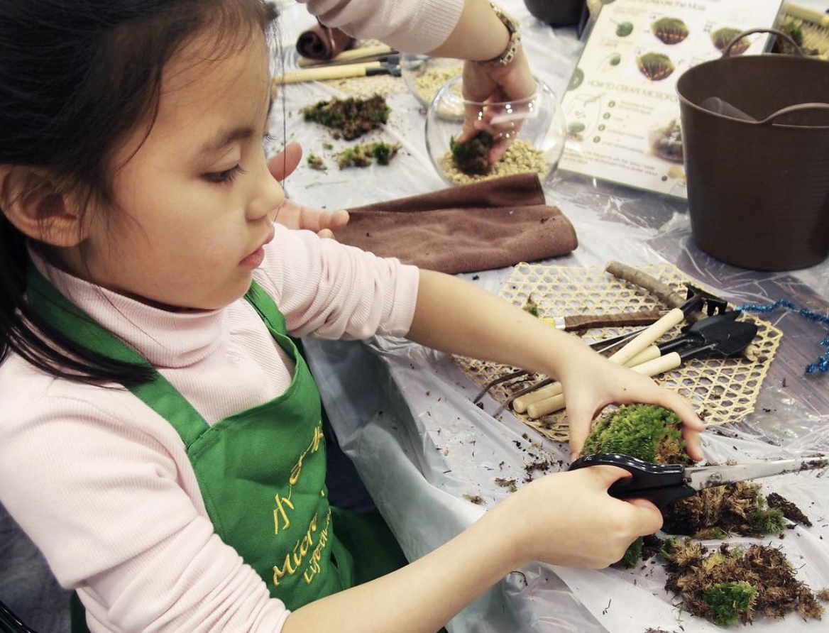 microforestshk
