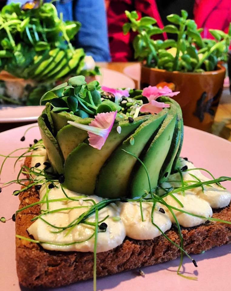 The Avocado Show