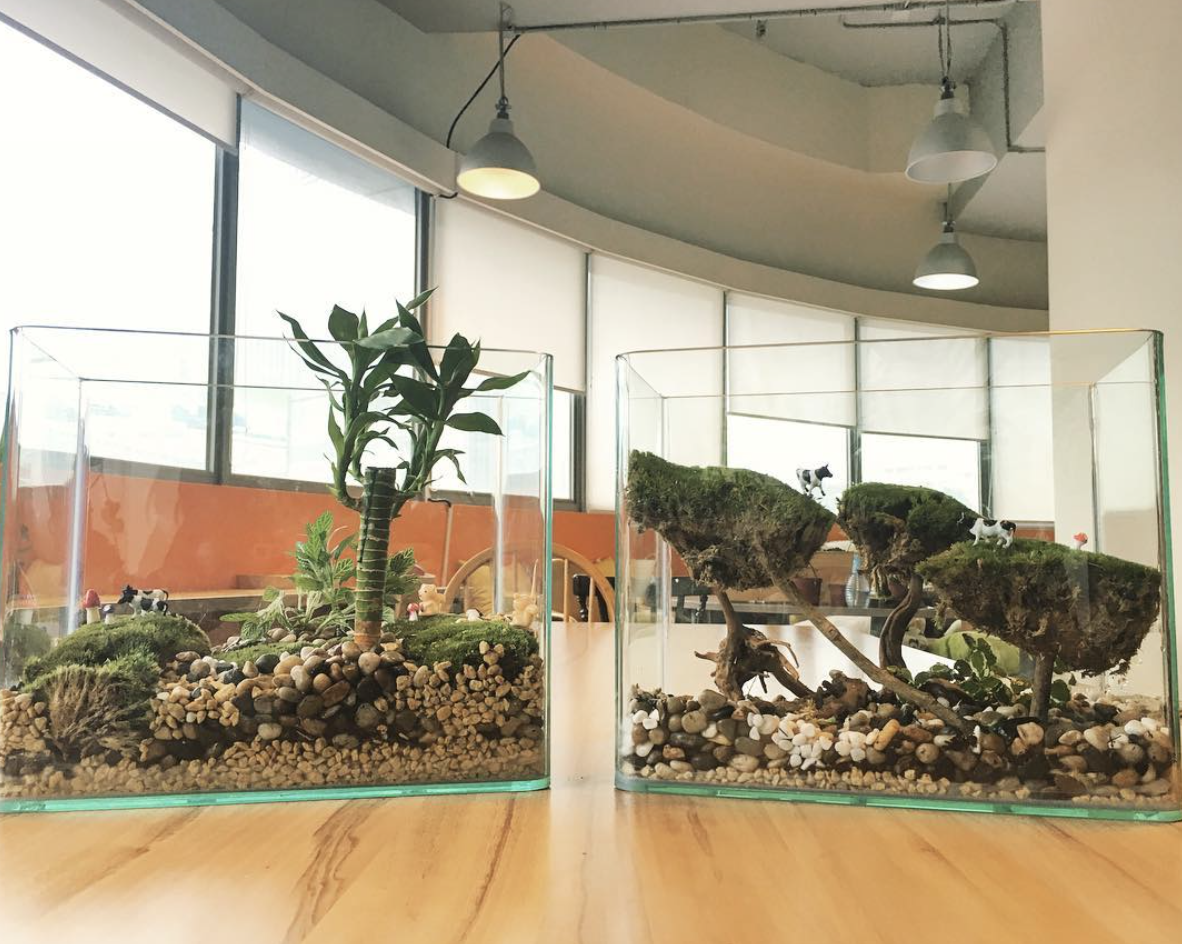 microforestshk