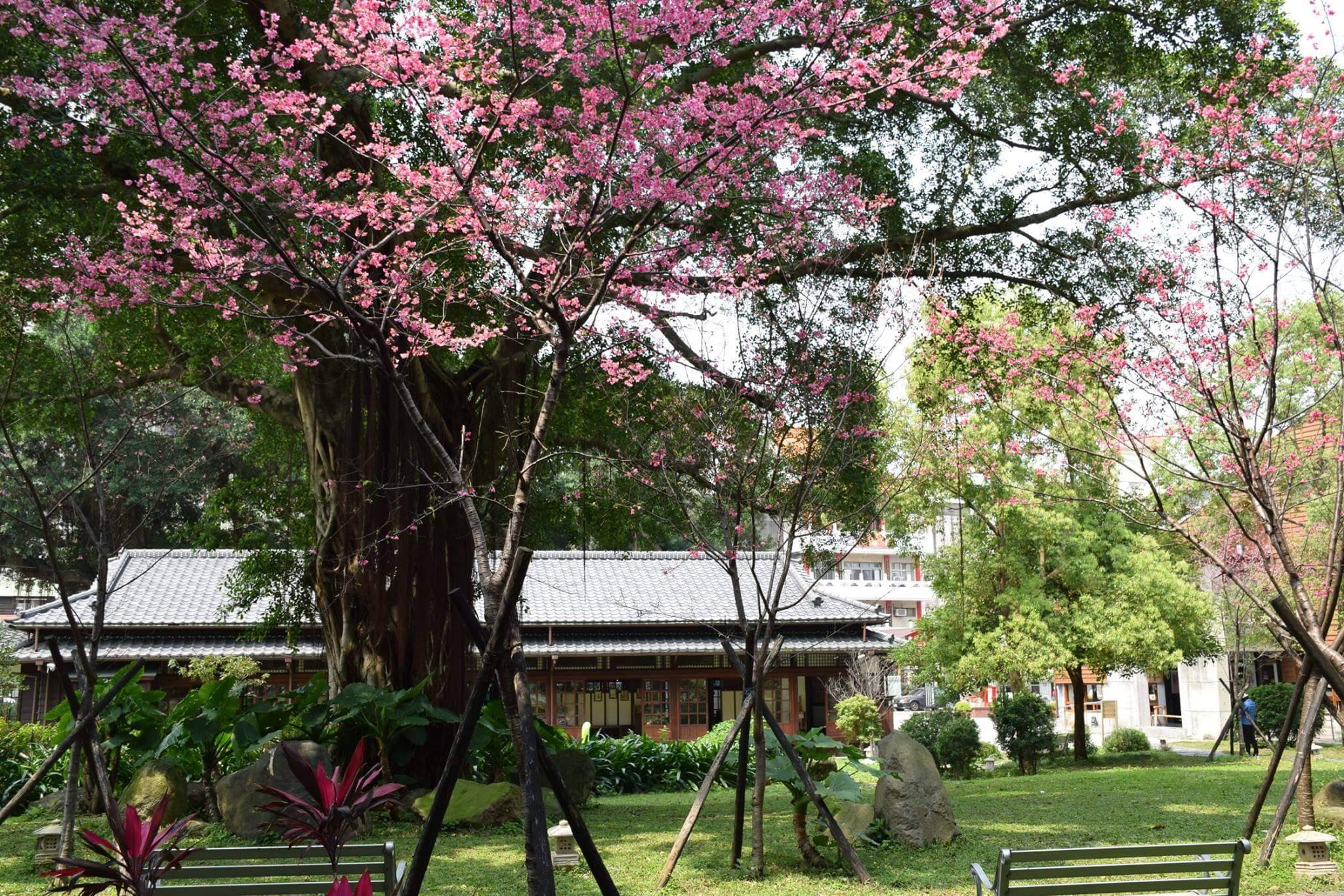 紀州庵文學森林