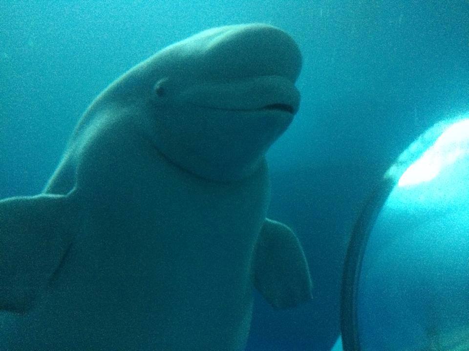 國立海洋生物博物館