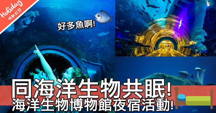 新奇體驗！夜宿台灣屏東國立海洋生物博物館～同一大群海洋生物共眠真係好正啊！