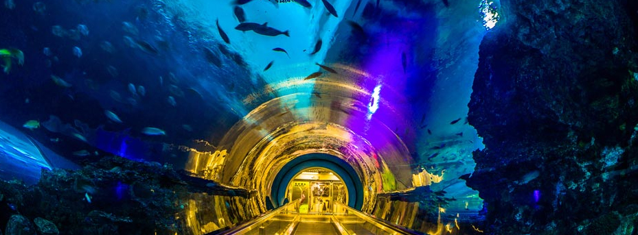 國立海洋生物博物館