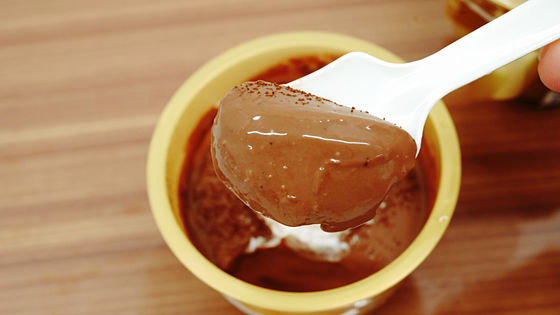 photo by GODIVAショコラプリン