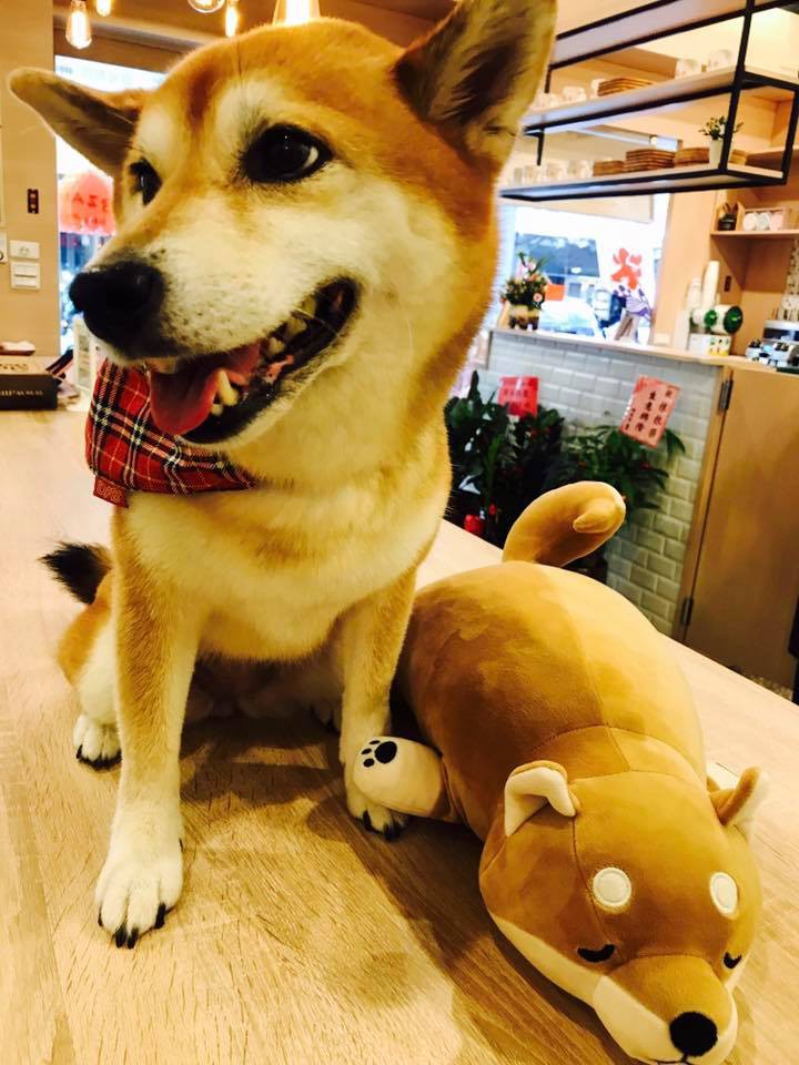 抹抹柴Official Facebook