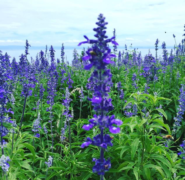 hrkkkk1995@Instagram