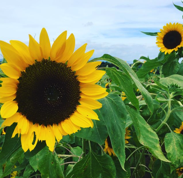 hrkkkk1995@Instagram