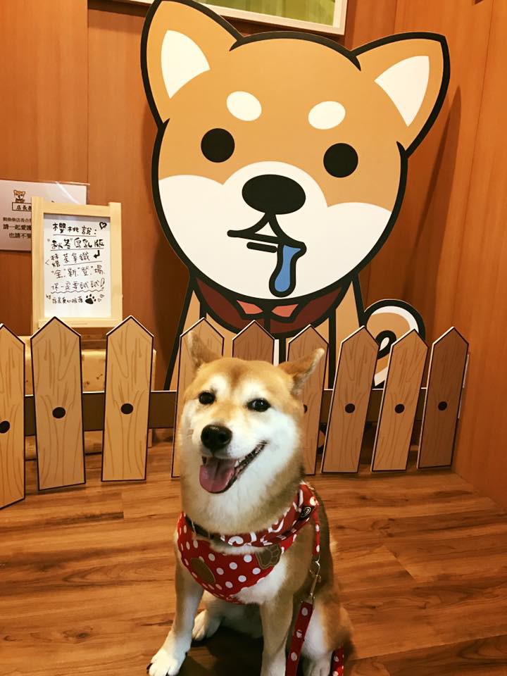 抹抹柴Official Facebook