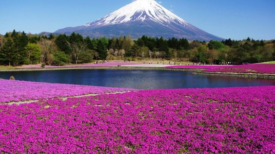 Pinterest