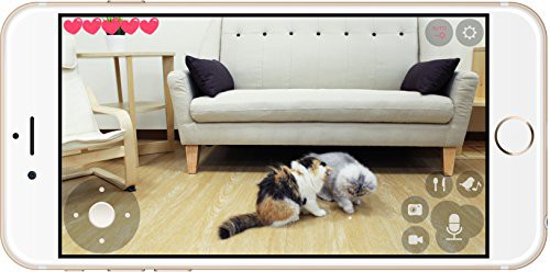 Pawbo Wi-Fi 寵物互動裝罝_PW-CAM-0001 (7)