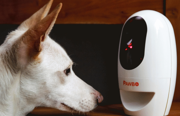 PawboWiFi 寵物互動裝置