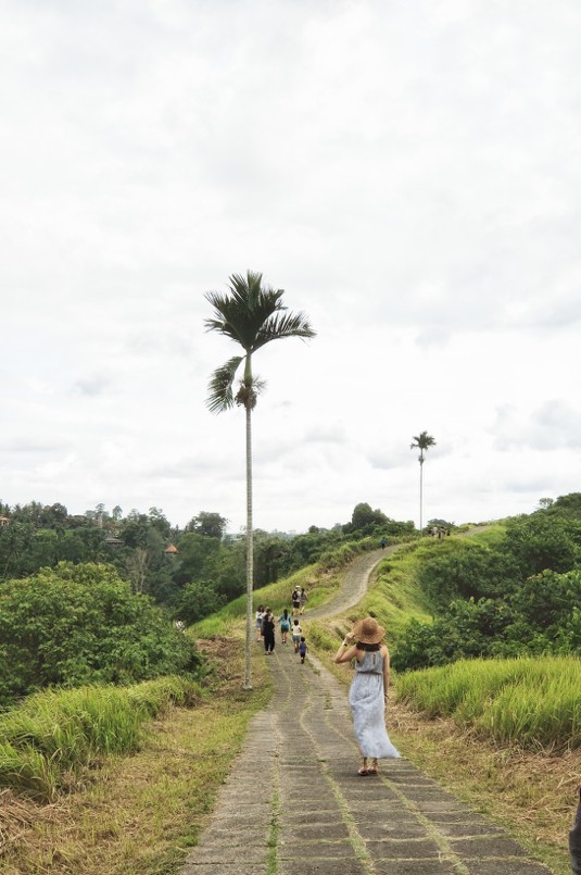 螢幕快照 2017-10-09 下午5.20.50