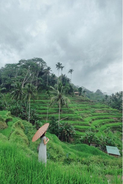 螢幕快照 2017-10-09 下午5.21.26