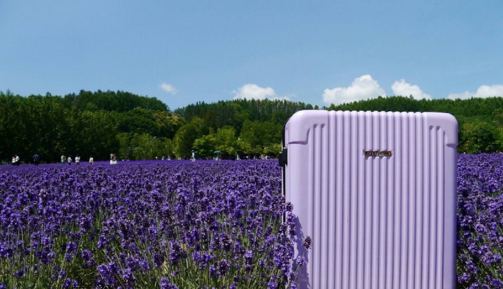 Centurion HK Distributor