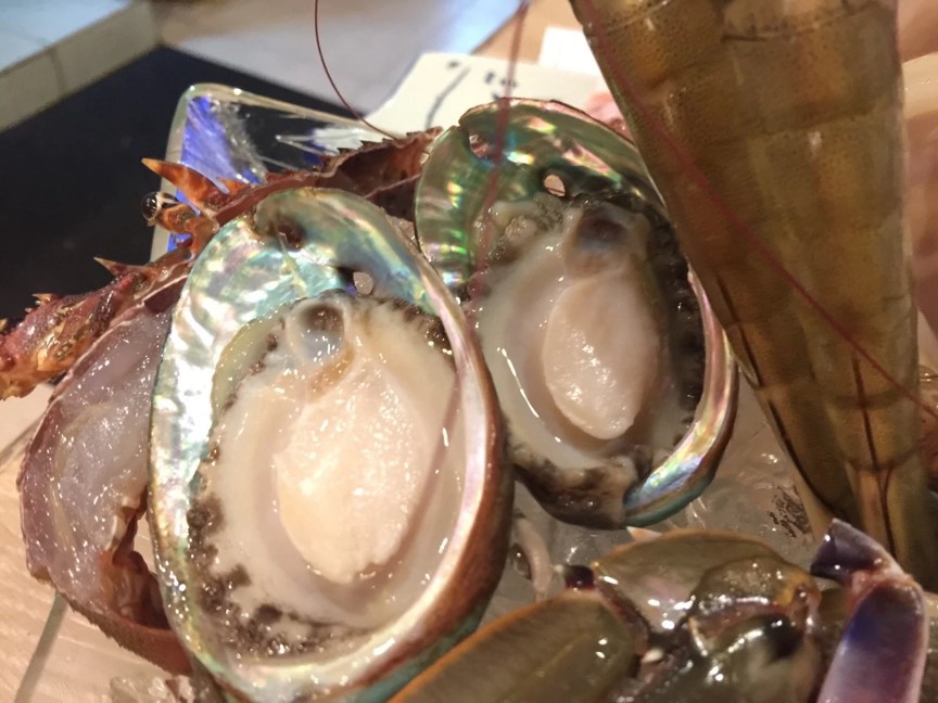 64E91A7134FF43A7A4BC172D90AFDFD8