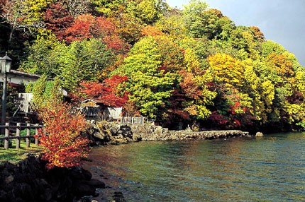 丸駒溫泉旅館官網