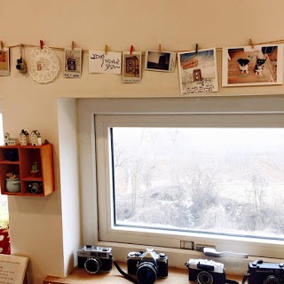 12790959_955424051173394_3912212368365368662_n