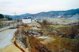 12794638_955424004506732_4486911917887993367_n