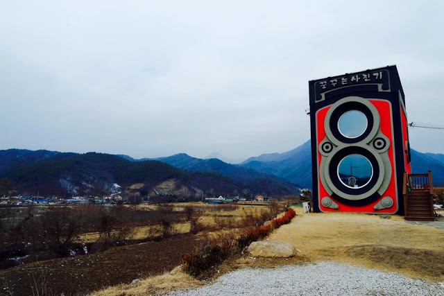 12795354_955423951173404_2364938729876792888_n