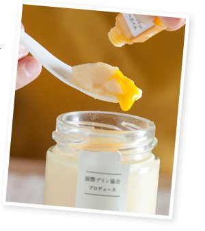 Pudding Lab Official Website