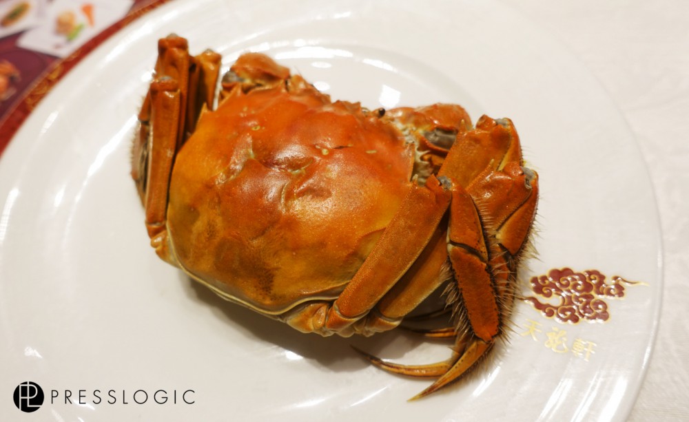 crab 01