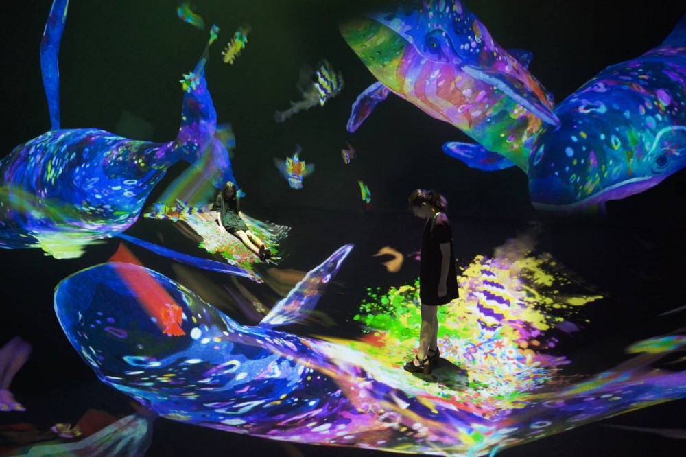 teamLab Official