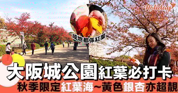 超靚滿地紅葉~日本大阪城公園必打卡紅楓美景!秋季限定橘紅海!