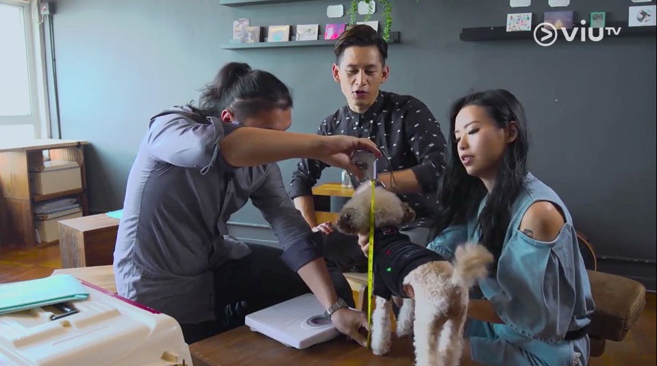 ViuTV《飛不甩家毛》