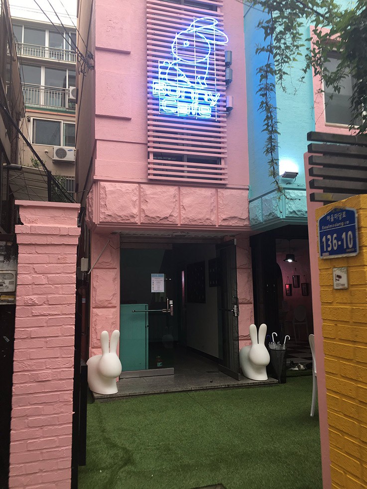 Seoul Bunny Cafe