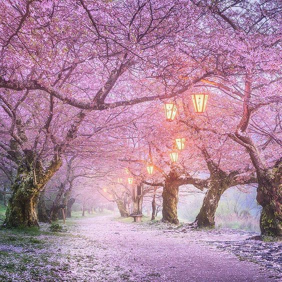 Pinterest