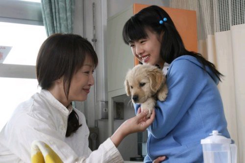 我和尋回犬的10個約定