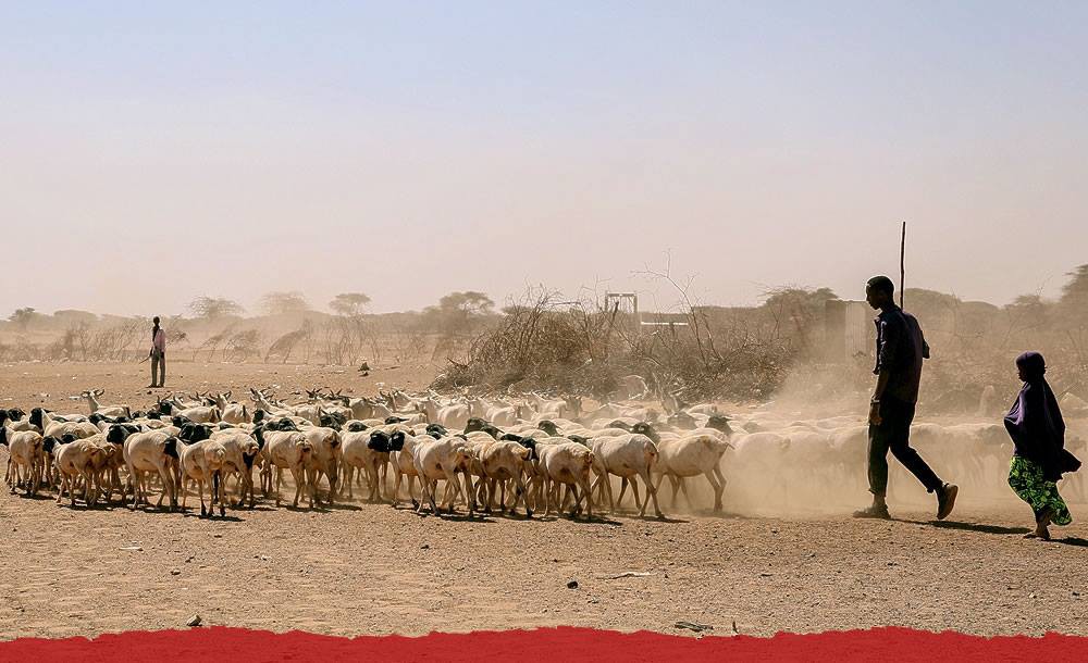 香港世界宣明會 - 饑饉30 
