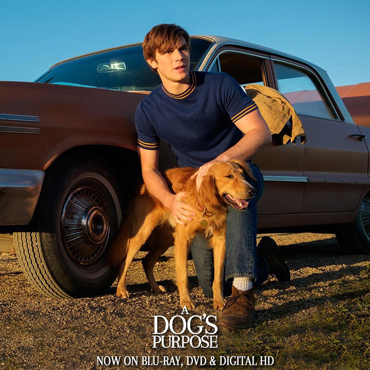 18358896_1843662789241025_7340443432272348736_o