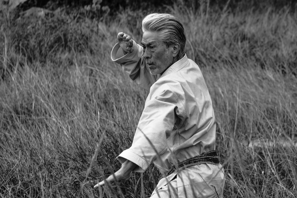 23215781_734538910062833_4484058342371510486_o