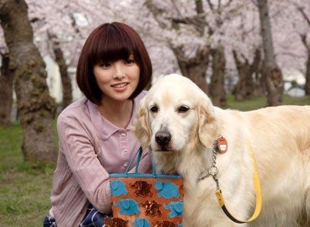 我和尋回犬的10個約定