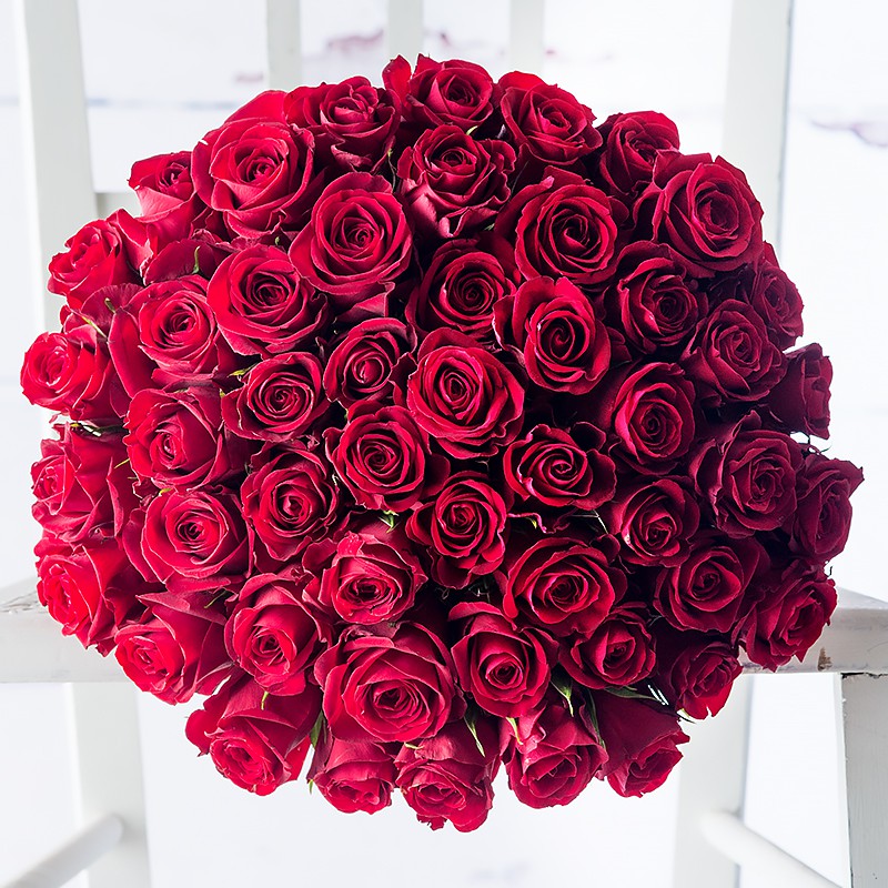 50_red_roses_8
