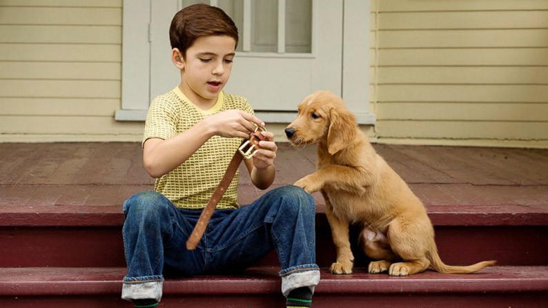 再見亦是狗朋友