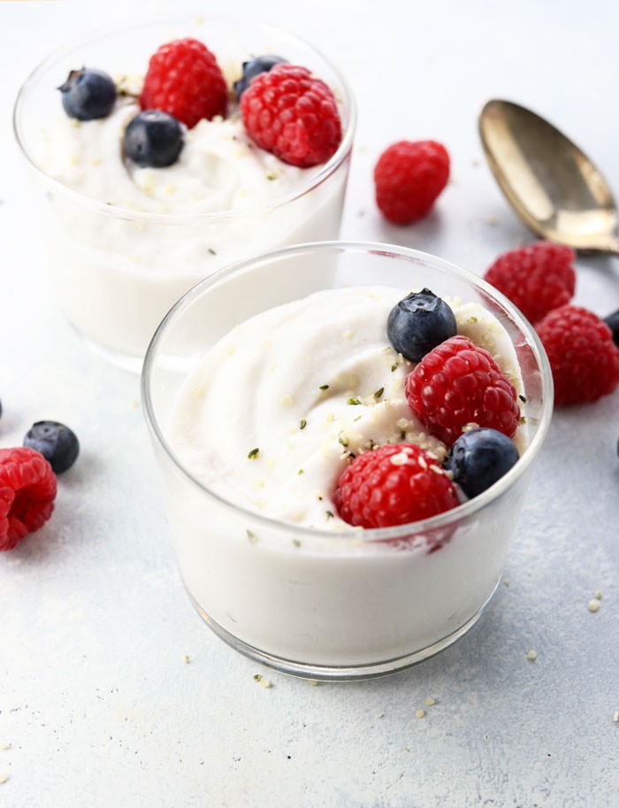 coconut-milk-yogurt-recipe
