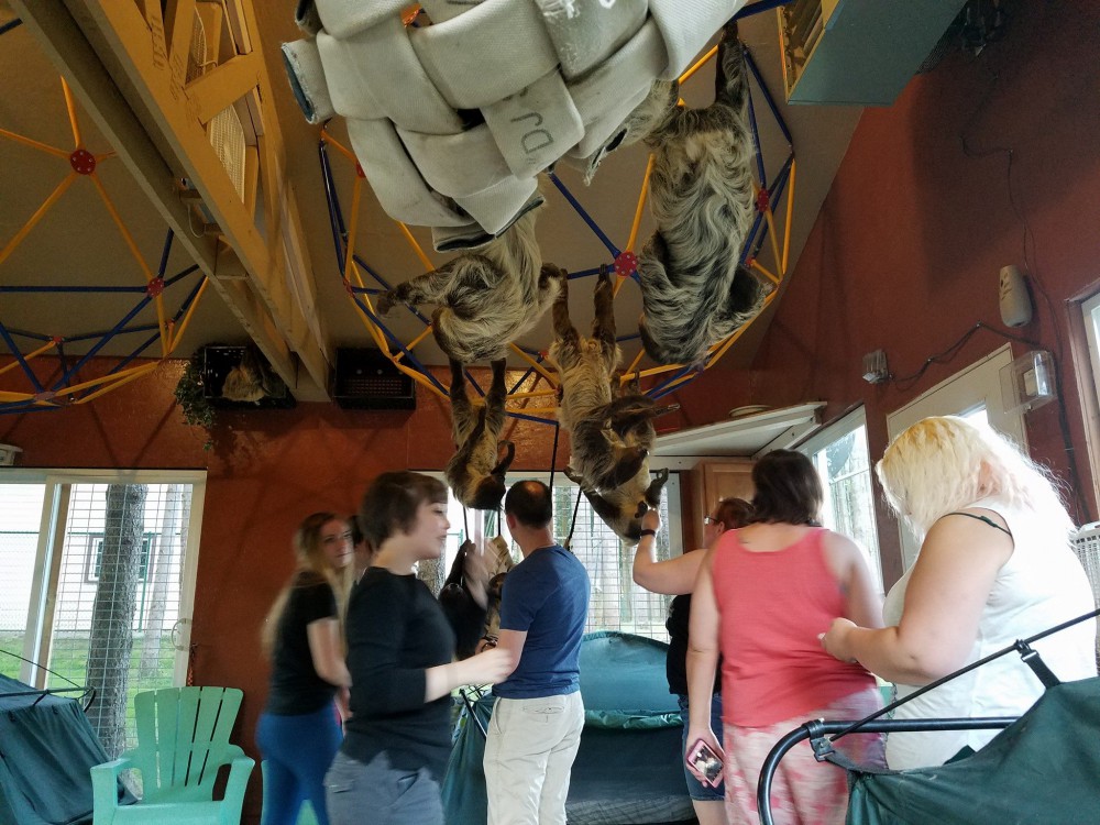 ZWCC Sloth Center