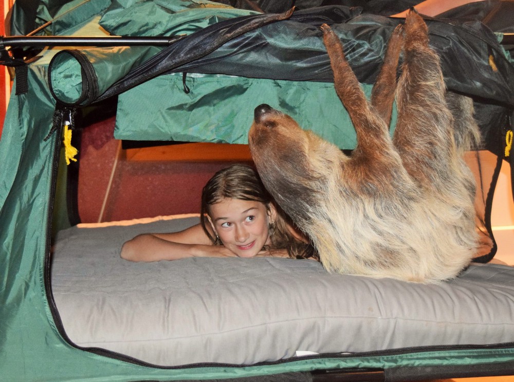 ZWCC Sloth Center