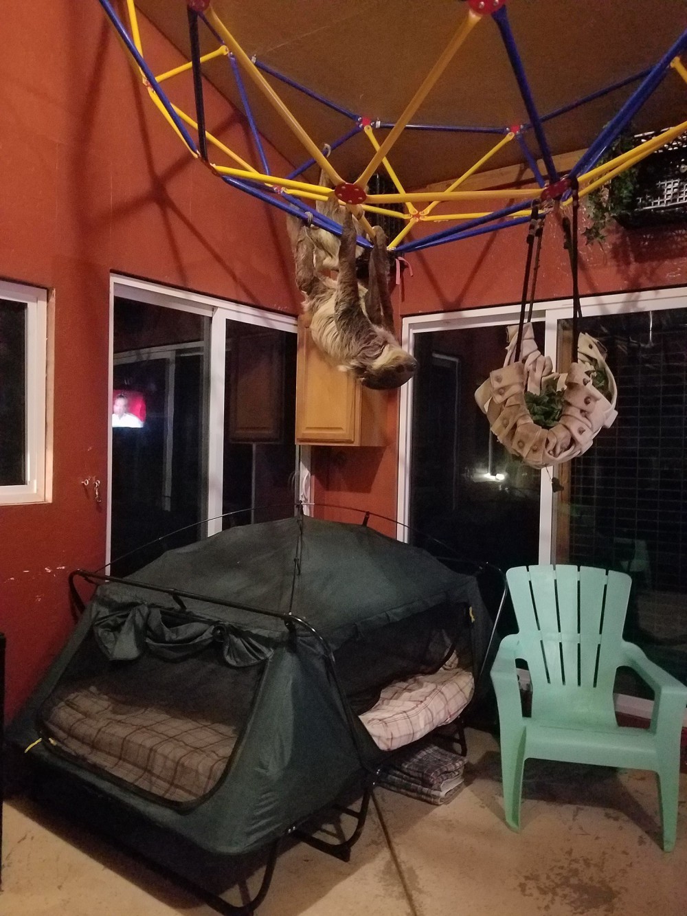 ZWCC Sloth Center