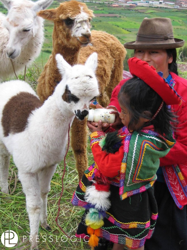 South America Tourism