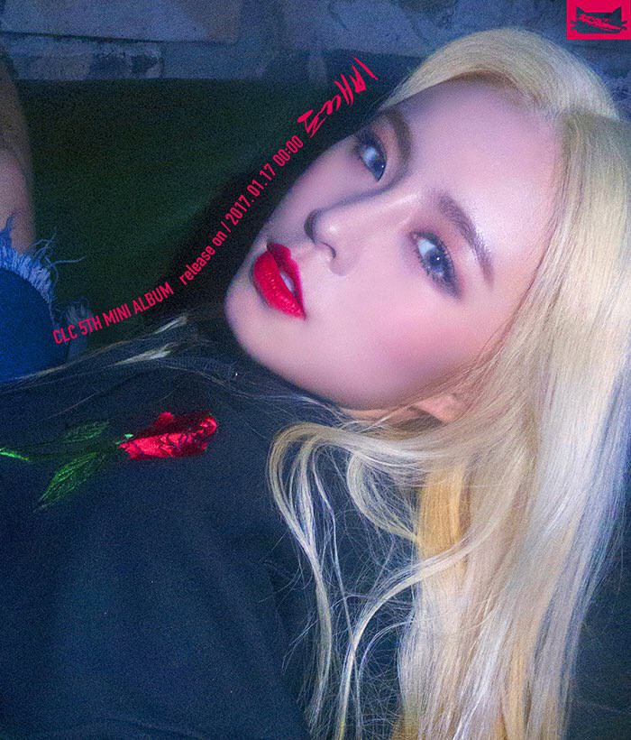 d6c2d411082b47399a5a6a8575902ba7