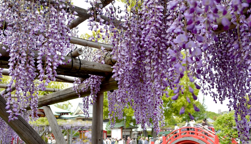 龜戶天神社官網