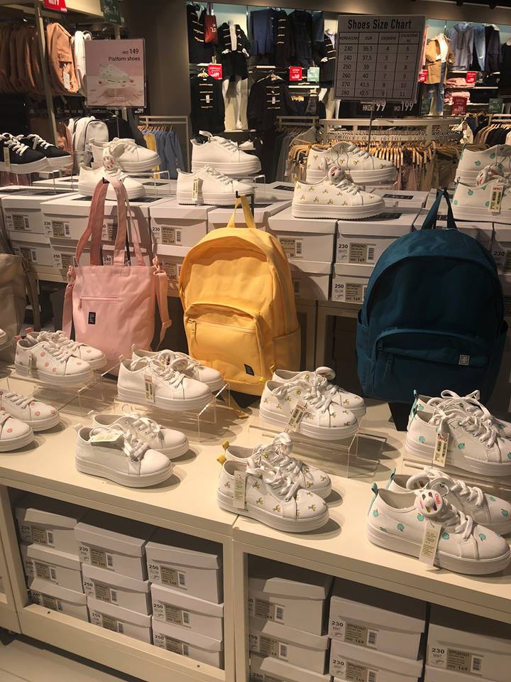 SPAO 官網